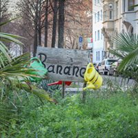 46432602_1345585502245487_4463838374922289152_n